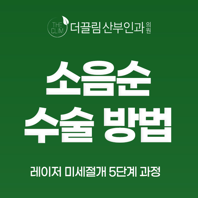 소음순수술 방법